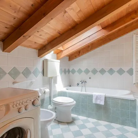 Begonia * 斯特雷萨