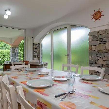 Begonia * 斯特雷萨